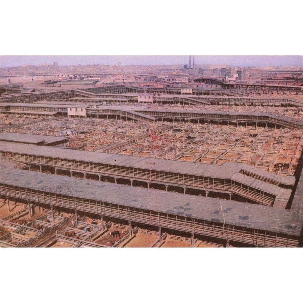 Vintage Kansas City Stock Yards Meat Packing Center Missouri Postcard Gene Hook